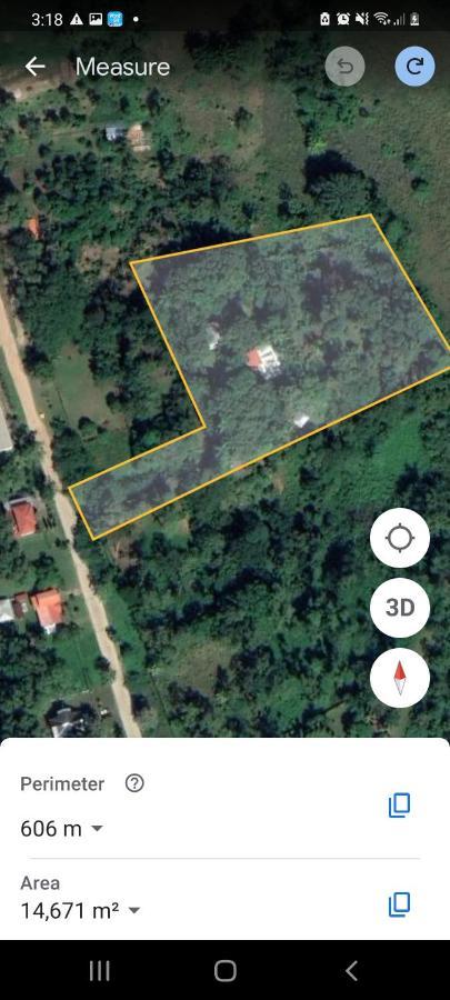 Plasencia Estate Омоа Экстерьер фото